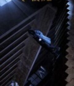 扫黑行动之黄金            (2024)