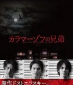 卡拉马佐夫兄弟 カラマーゾフの兄弟            (2013)