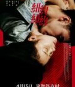 纽约纽约            (2016)