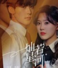 灿若星河            (2024)