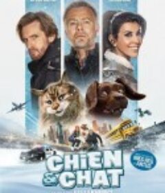 Chien et Chat            (2024)