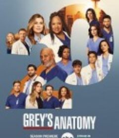 实习医生格蕾 第二十季 Grey’s Anatomy Season 20            (2024)