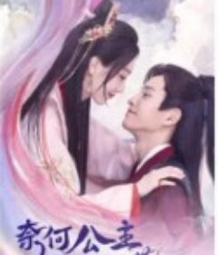 奈何公主不好惹            (2023)