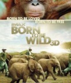 天生狂野 Born to Be Wild            (2011)