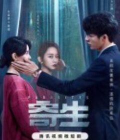 寄生            (2024)