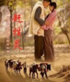 赶牲灵            (2017)