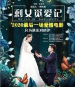 剩女觅爱记            (2018)