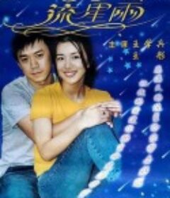 秋天的流星雨            (2001)