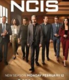 海军罪案调查处 第二十一季 NCIS Season 21            (2024)
