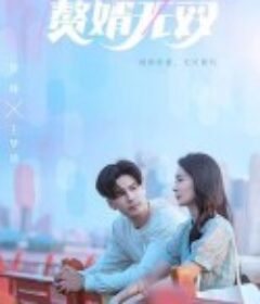 赘婿无双            (2023)