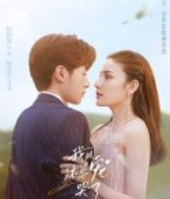 我被沐总宠哭了            (2023)