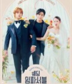 不可能的婚礼 웨딩 임파서블            (2024)