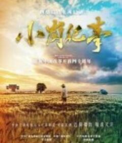 小岗纪事            (2018)