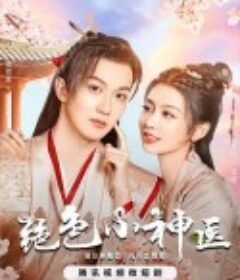 绝色小神医            (2023)