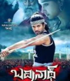 圣域守护者 Badrinath            (2010)