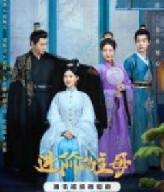 进阶的主母            (2023)