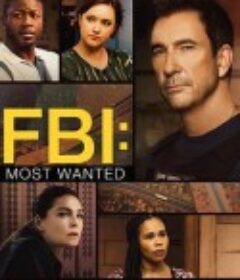 联邦调查局：通缉要犯 第五季 FBI: Most Wanted Season 5            (2024)