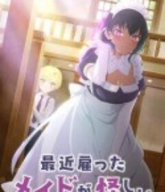 最近雇佣的女仆有点奇怪 最近雇ったメイドが怪しい            (2022)