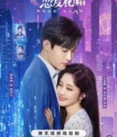 方小姐的恋爱秘籍            (2023)