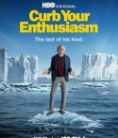 消消气 第十二季 Curb Your Enthusiasm Season 12            (2024)