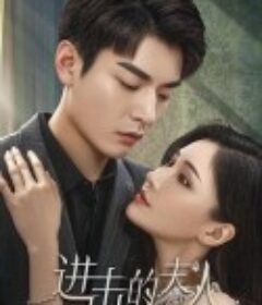 进击的夫人            (2024)