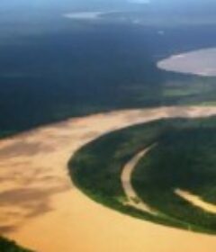 伟大的亚马逊：大河的秘密 The Great Amazon: Secrets of the Mighty River            (2016)