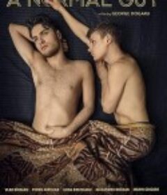 普通男子 Un baiat normal            (2019)