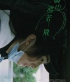 关山度若飞 關山渡若飛            (2023)