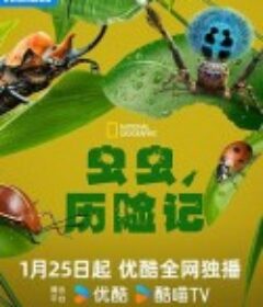 虫虫历险记 A Real Bug's Life            (2024)