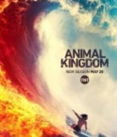 野兽家族 第四季 Animal Kingdom Season 4            (2019)