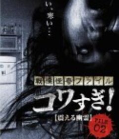 战栗怪奇：惊吓!  FILE-02 震撼幽灵 戦慄怪奇ファイル コワすぎ! FILE-02 震える幽霊            (2012)