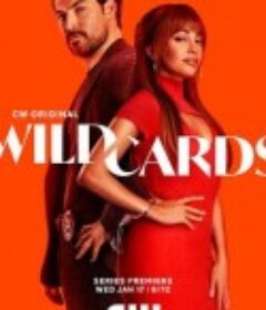 百变王牌 Wild Cards            (2024)