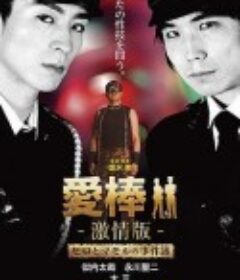 强暴直男事件簿 愛棒 －激情版－ ～ヒロとマモルの事件簿～            (2015)