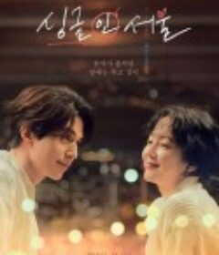 单身首尔 싱글 인 서울            (2023)