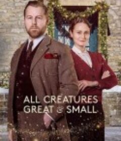万物生灵：2023圣诞特别集 All Creatures Great and Small: On a Wing and a Prayer            (2023)
