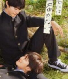 无法传达给你 君には届かない。            (2023)