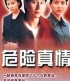 危险真情            (2000)