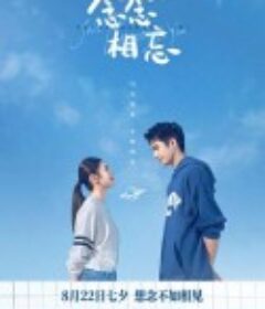 念念相忘            (2023)