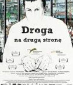 库里克的超越之路 Crulic - drumul spre dincolo            (2011)