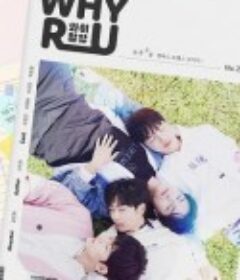 缘来誓你 와알유            (2023)