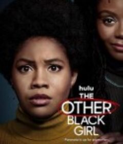 另一个黑人女孩 The Other Black Girl            (2023)