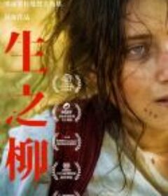 柳树 Врба            (2019)