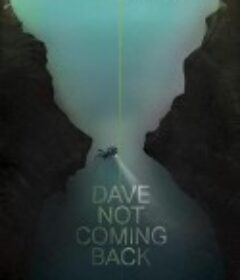 戴夫不回来了 Dave Not Coming Back            (2020)