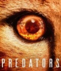 食肉动物 Predators            (2022)