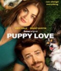 小狗之爱 Puppy Love            (2023)