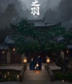 云之羽            (2023)