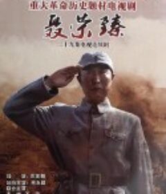 聂荣臻            (2013)