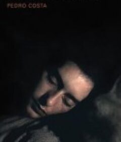 旺妲的房间 No Quarto da Vanda            (2000)