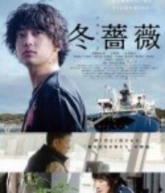 冬蔷薇 冬薔薇            (2022)