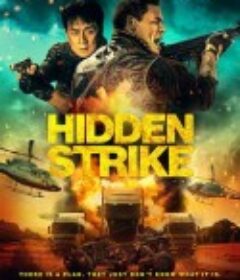 狂怒沙暴 Hidden Strike            (2023)